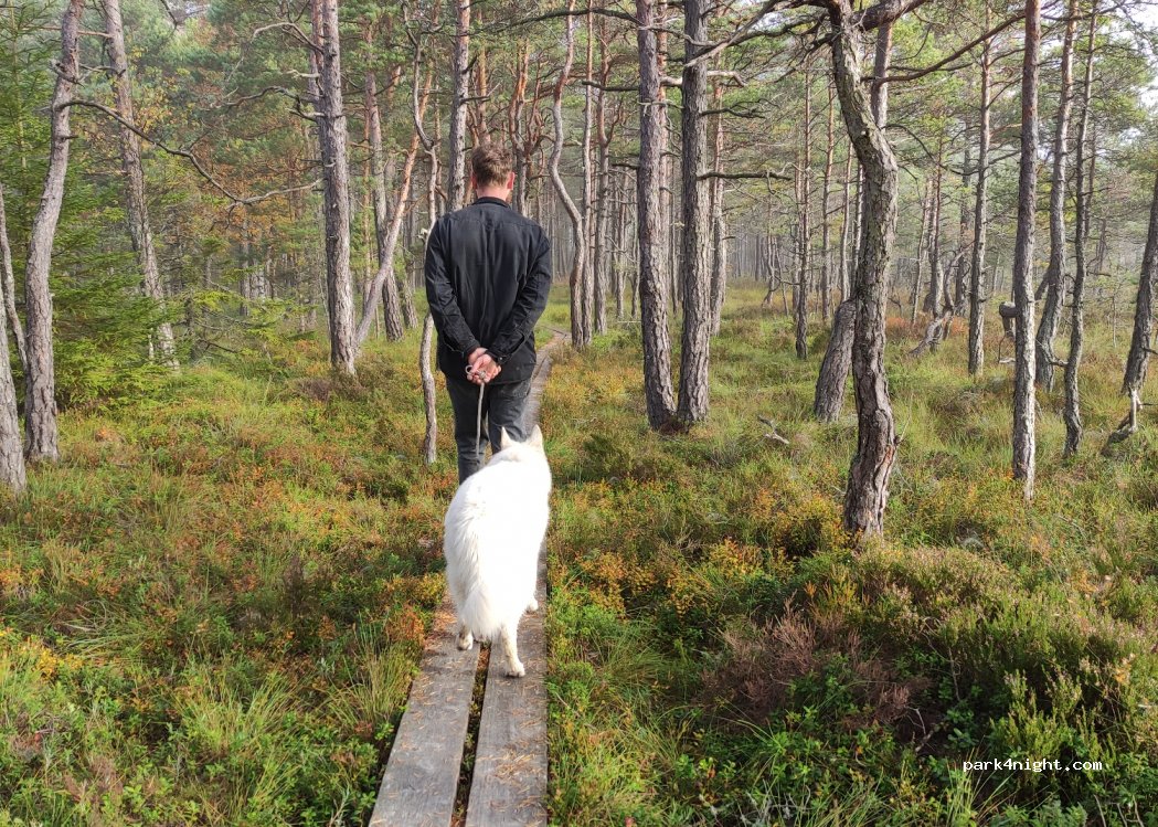 (330 33) Hillerstorp - Unnamed Road — foto 2