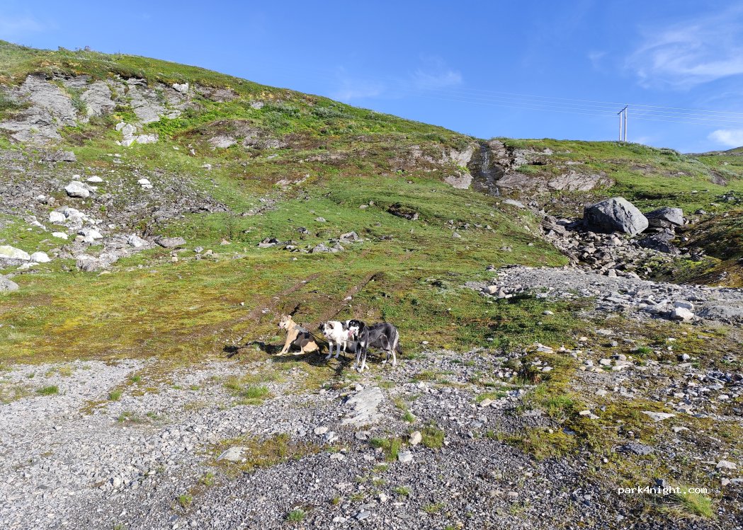 (6893) Vik i Sogn - — foto 2