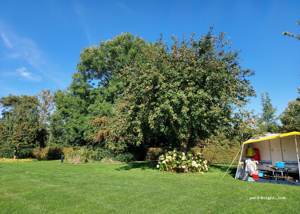 Camping Lentemaheerd — foto 2