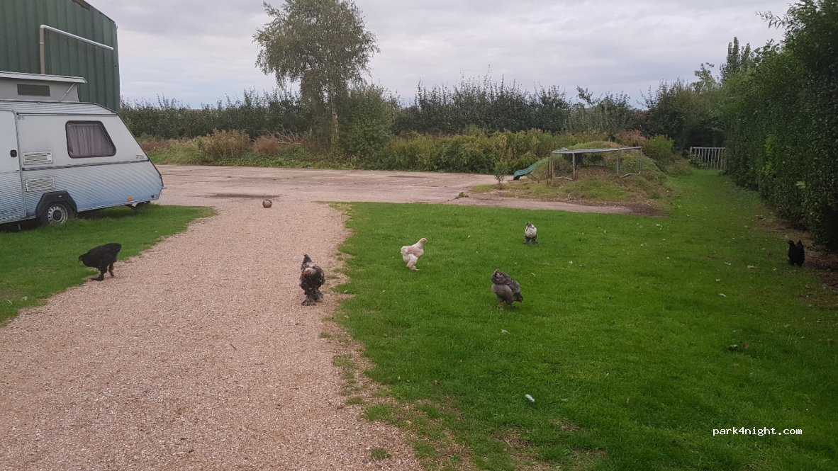 Camping Louws — foto 3