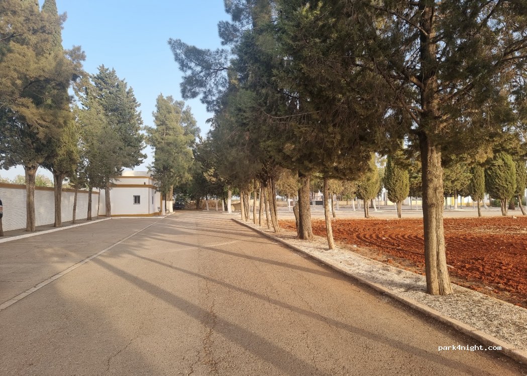 (41430) La Luisiana - 40 Calle Zaragoza — foto