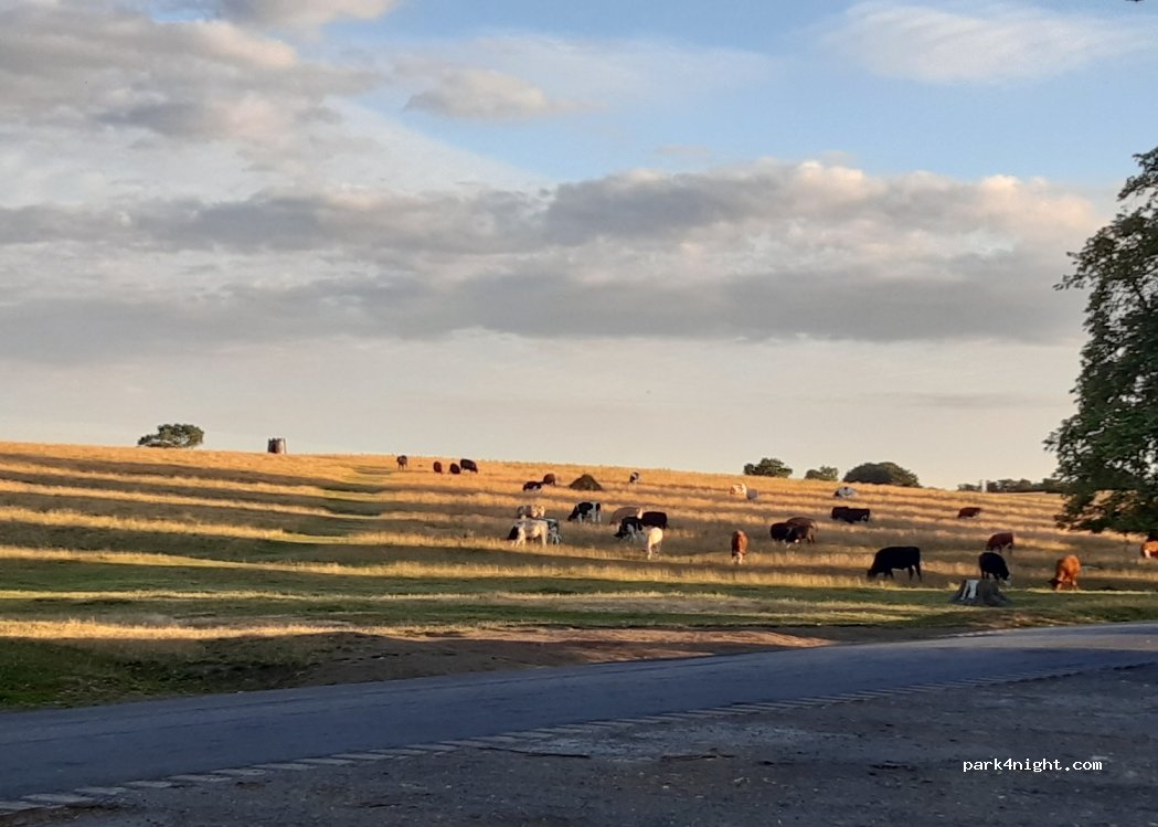 (HU17 8QZ) Beverley - Newbald Road — foto 2