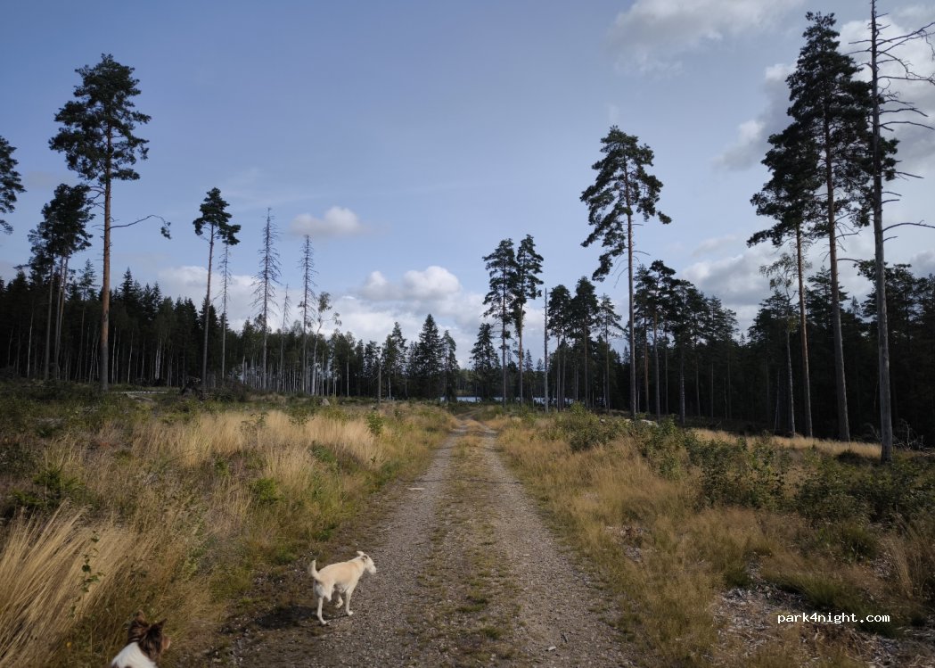 (713 91) Nora - Unnamed Road — foto