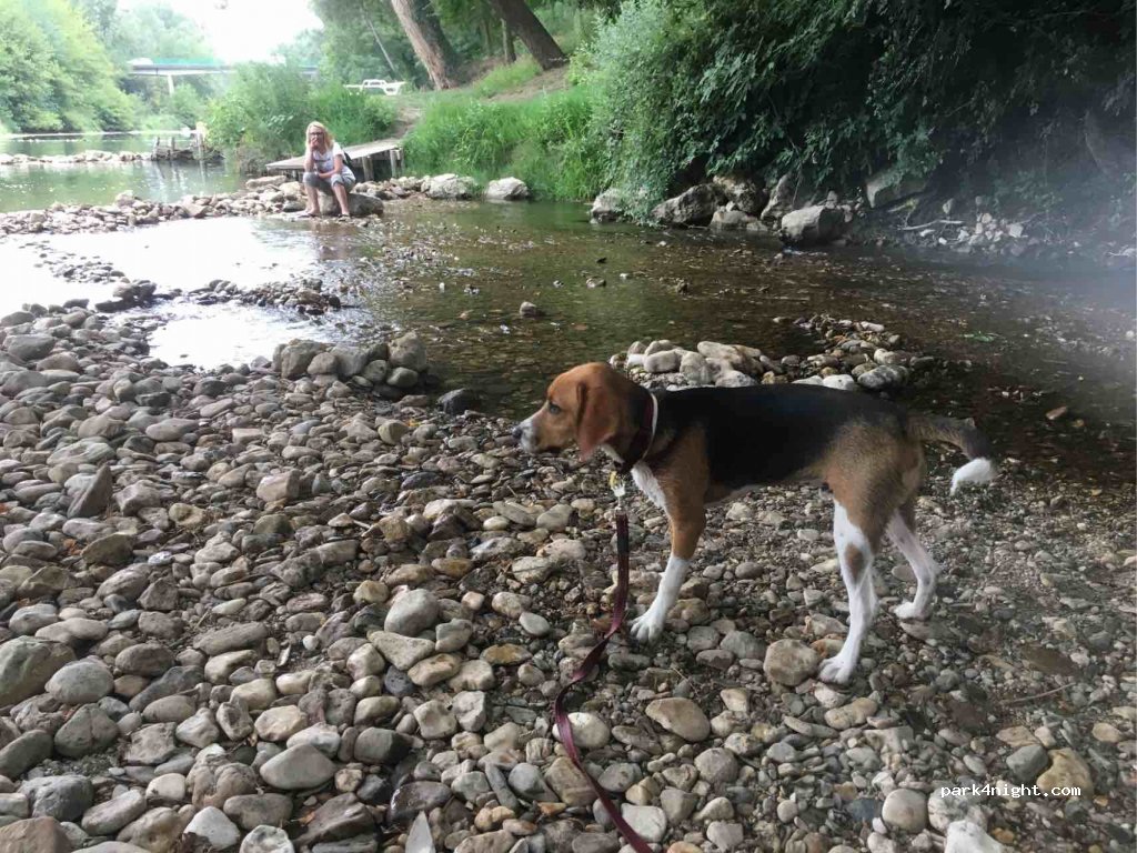 Camping Paradis Les Amarines — foto 2