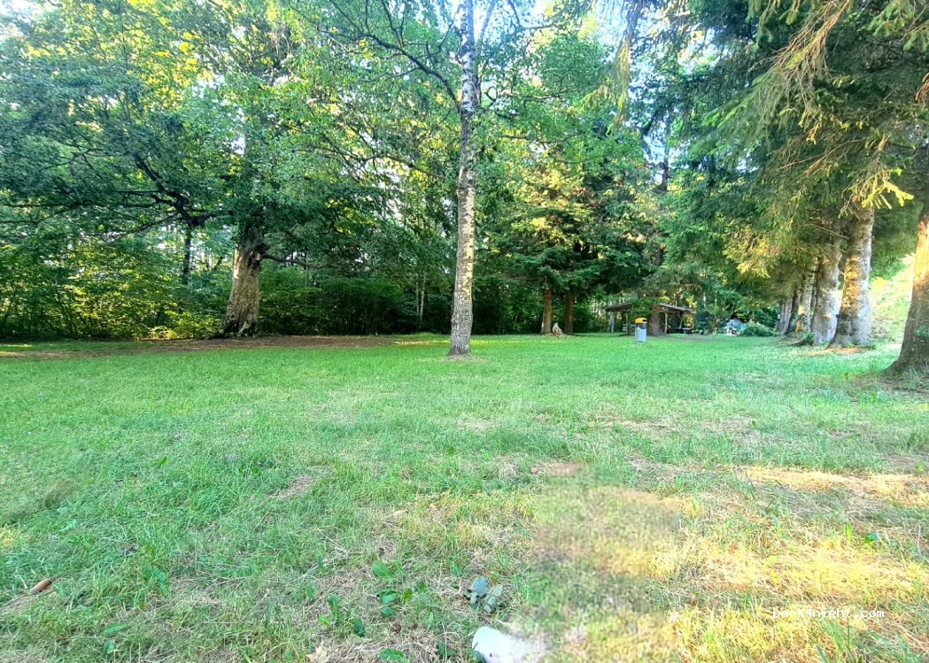 (2065) Savagnier - Unnamed Road — foto 2