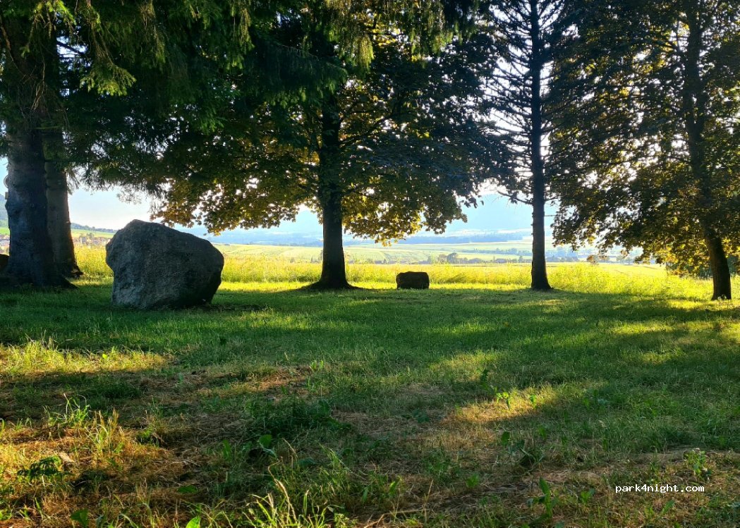 (2065) Savagnier - Unnamed Road — foto 4