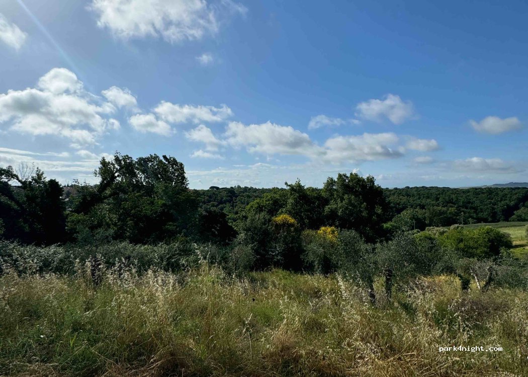(53019) Castelnuovo Berardenga - 39 Vicolo del Sole — foto 3