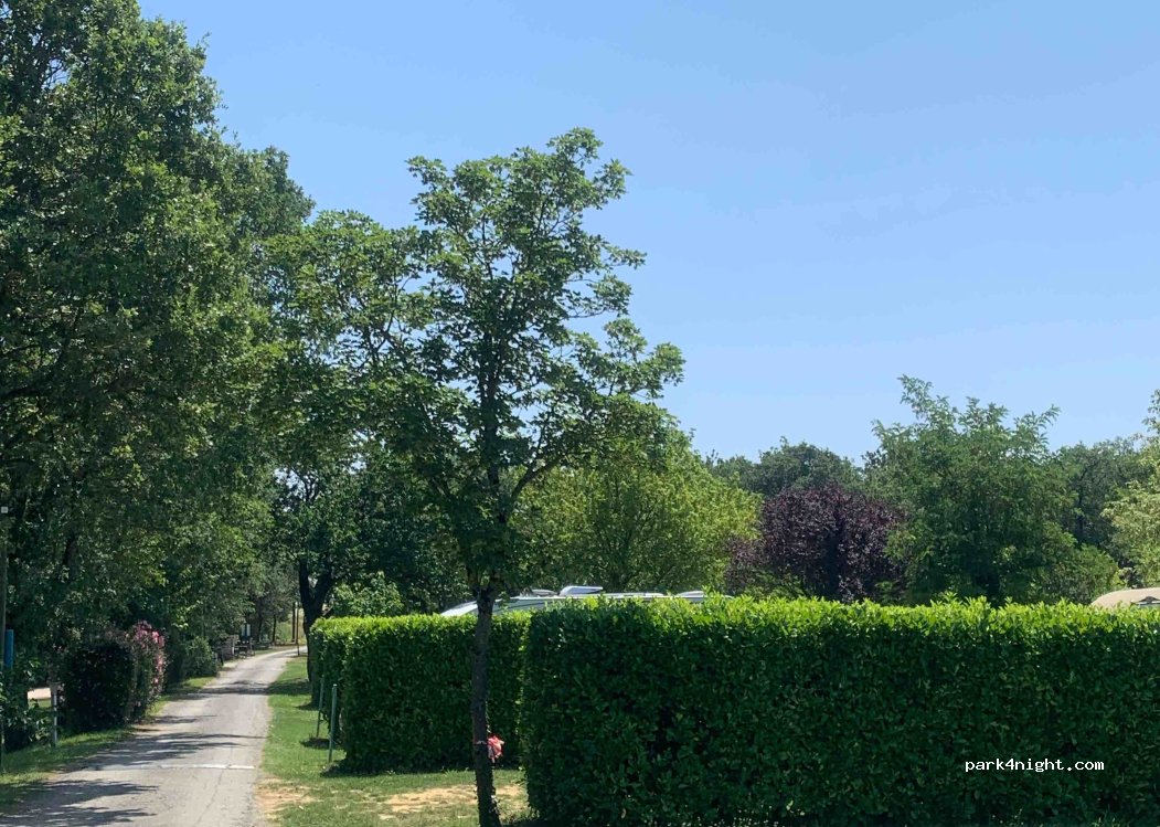 Camping Saint Laurent — foto 2