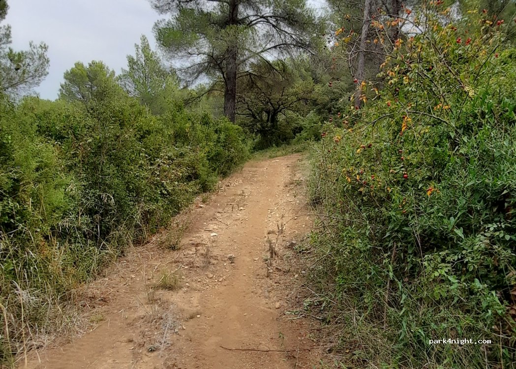 (13880) Velaux - 1650 Chemin de la Joséphine — foto 3
