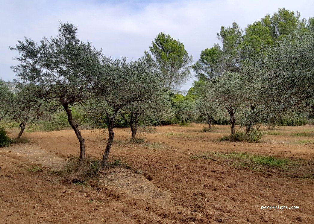 (13880) Velaux - 1650 Chemin de la Joséphine — foto 4