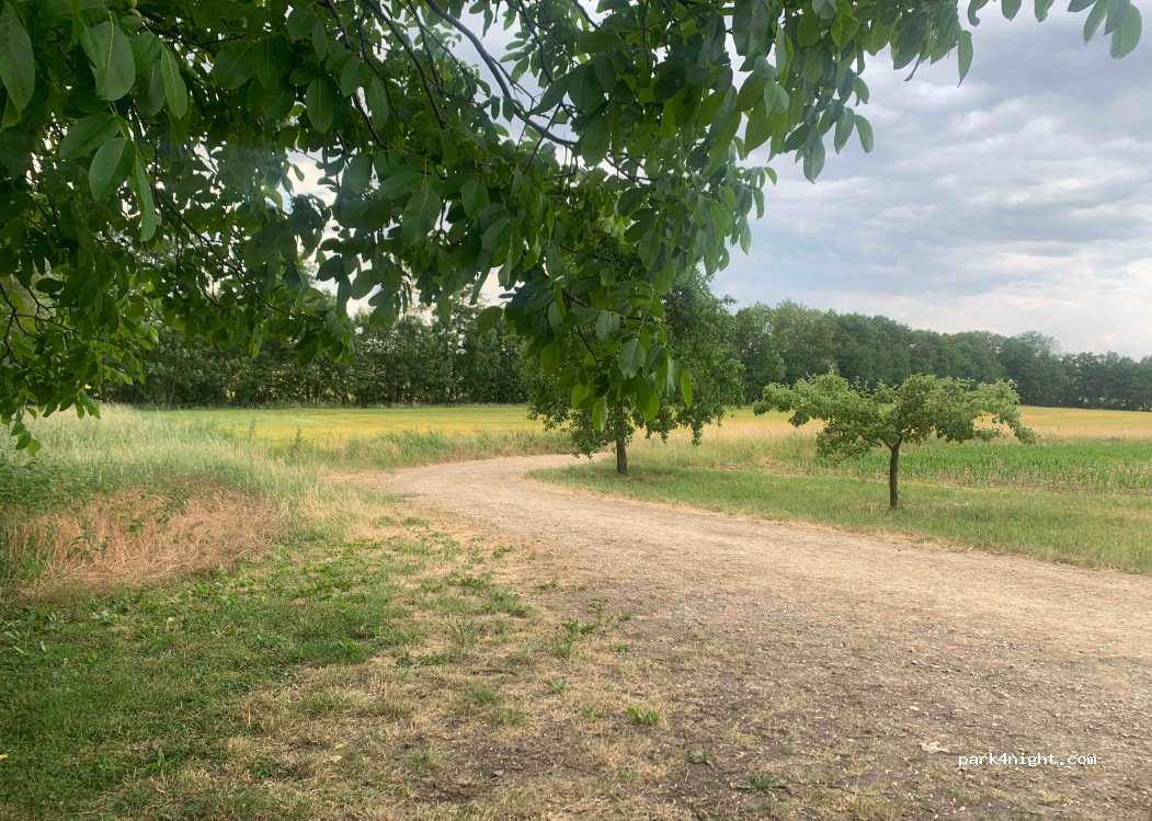 (96123) Litzendorf - — foto 3