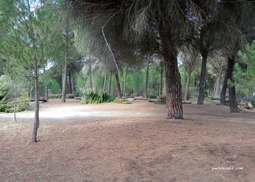 (47162) Aldeamayor de San Martín - s/n Paseo del Arroyo — foto 3