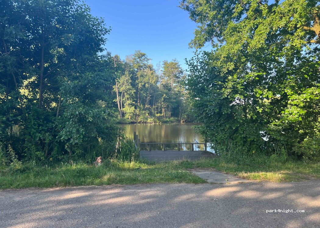 (6097) Heel - Rietkamp — foto 3
