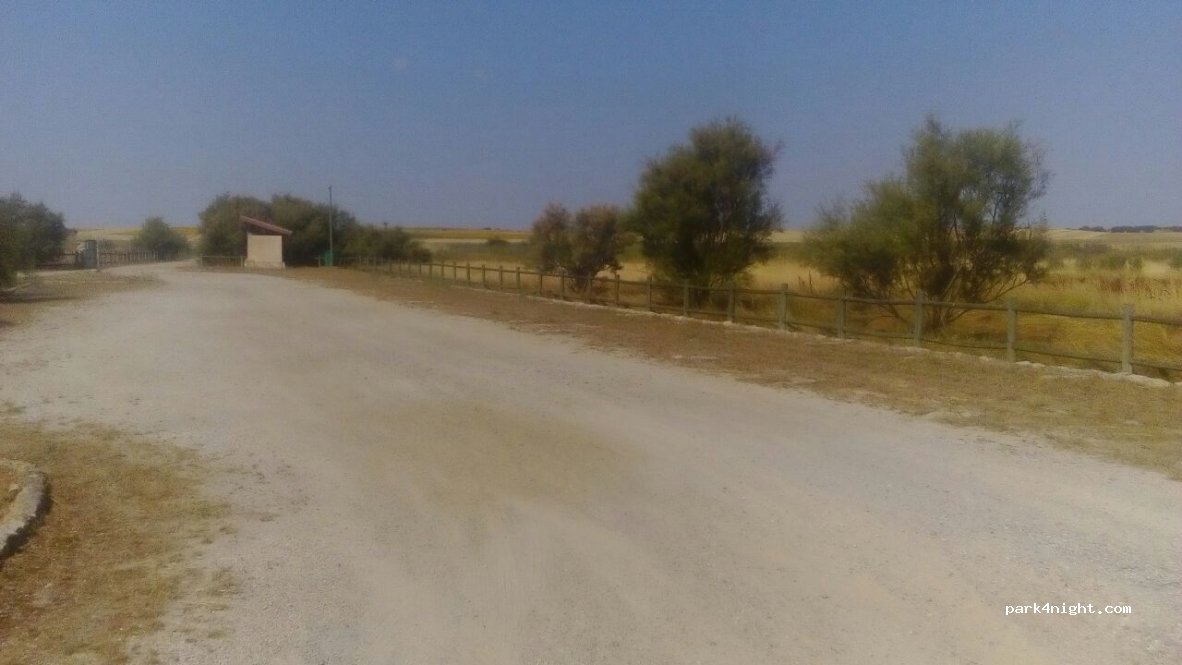 (34337) Fuentes de Nava - 6 P-940 — foto 2