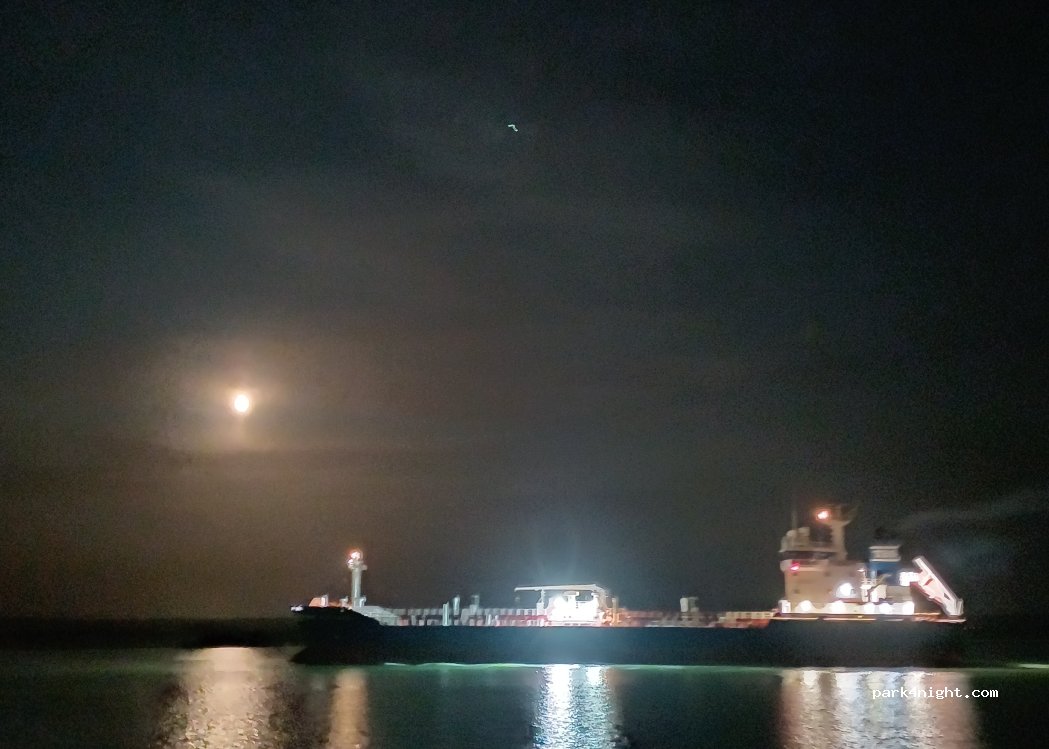 (76170) Lillebonne - Rte Industrielle et Portuaire de  Radicatel — foto 5