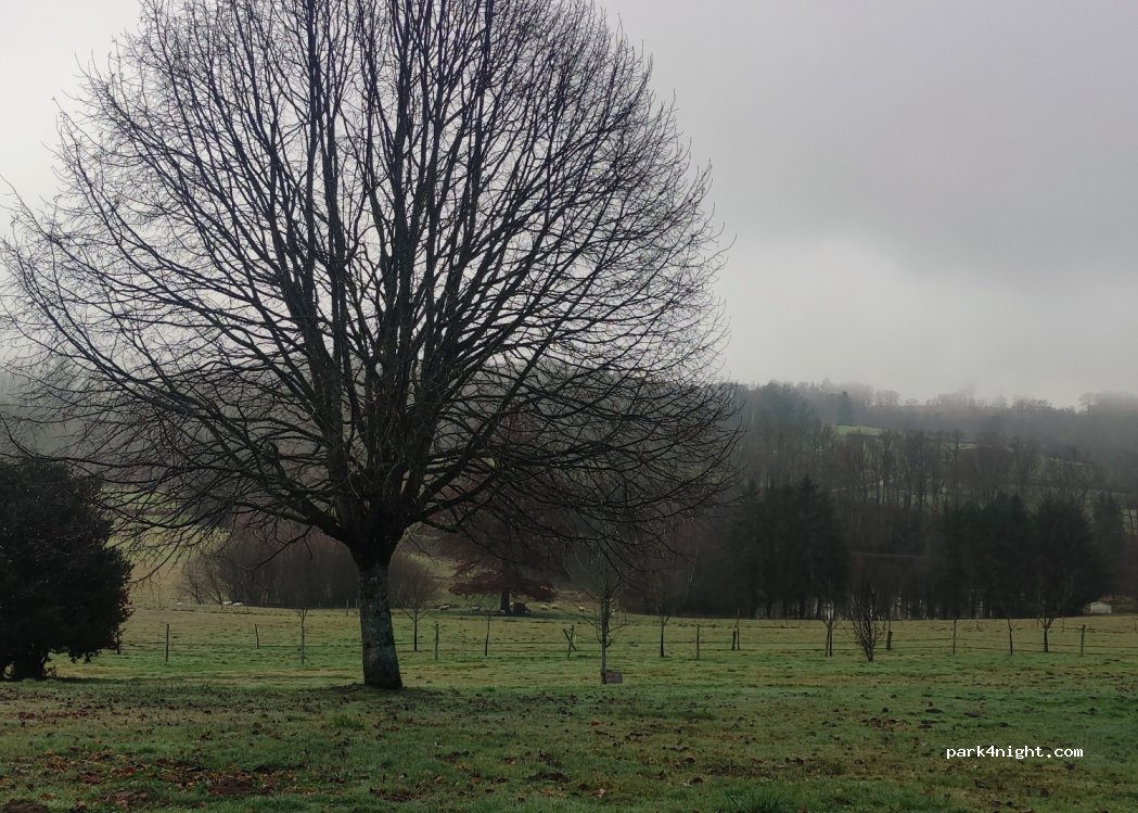 (87130) Saint-Méard - 4 Le Rouvereaux — foto 4