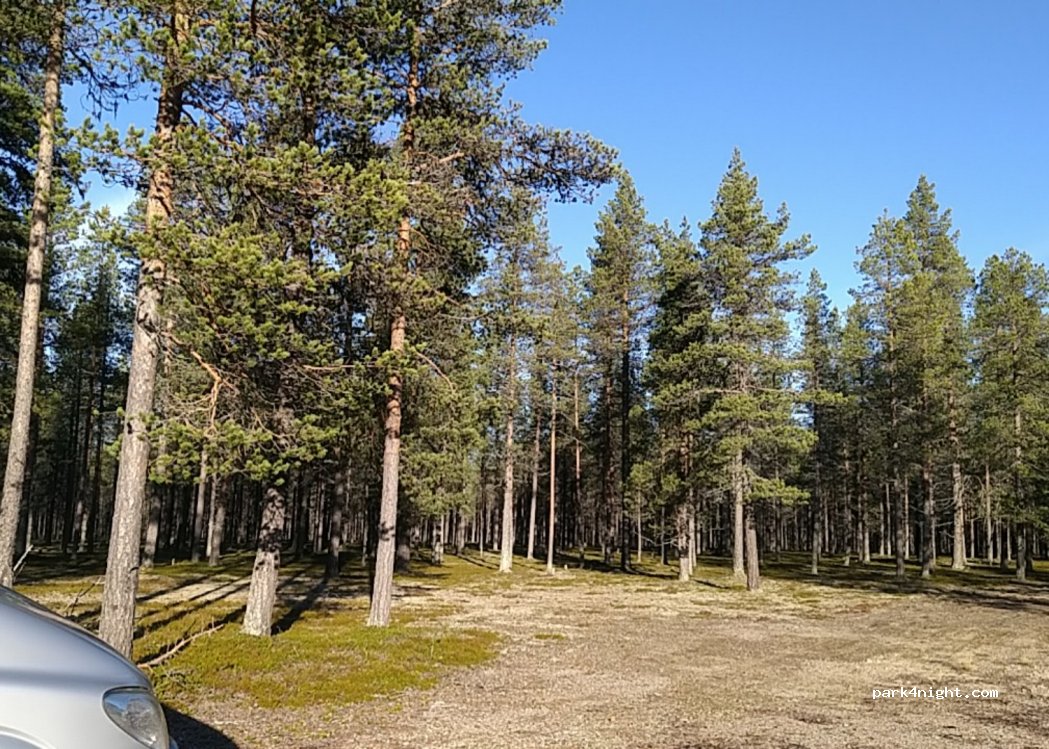 (984 99) Merasärvi - — foto
