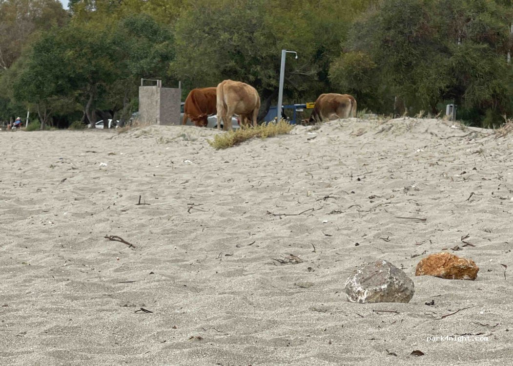 (461 00) Igoumenitsa - Unnamed Road — foto