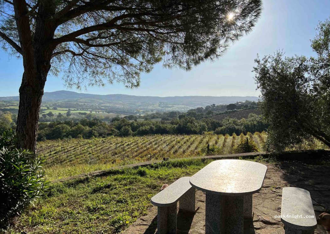 Podere Casina Produttori Bio di Morellino di Scansano — foto 2