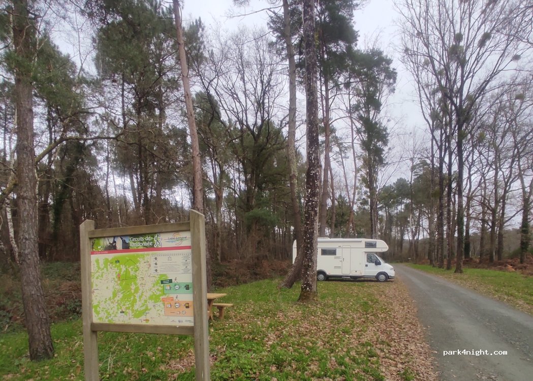 (49160) Longué-Jumelles - 1111 Route du Gué de Nouy — foto 4