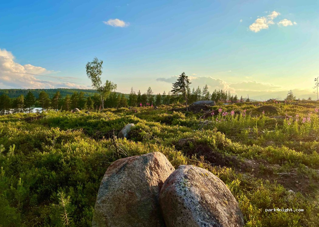 Tiny Living Camping — foto 3