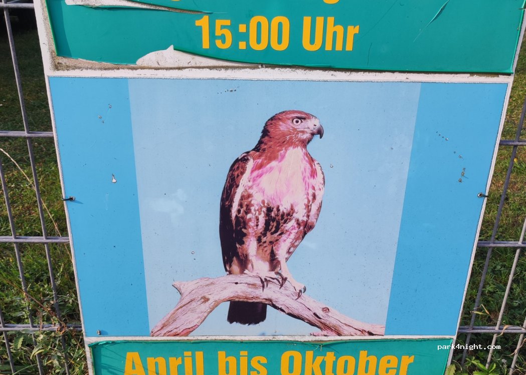 Elbterrasse Wörlitz — foto 4