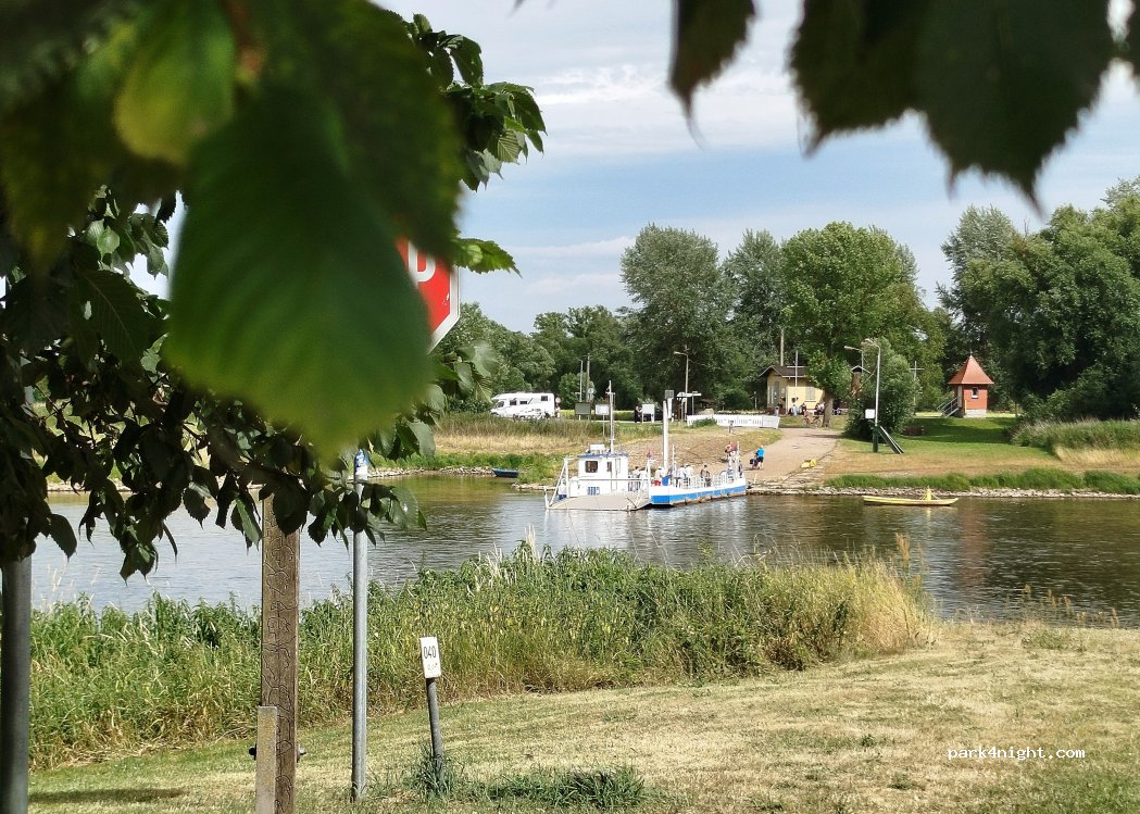 Elbterrasse Wörlitz — foto 5
