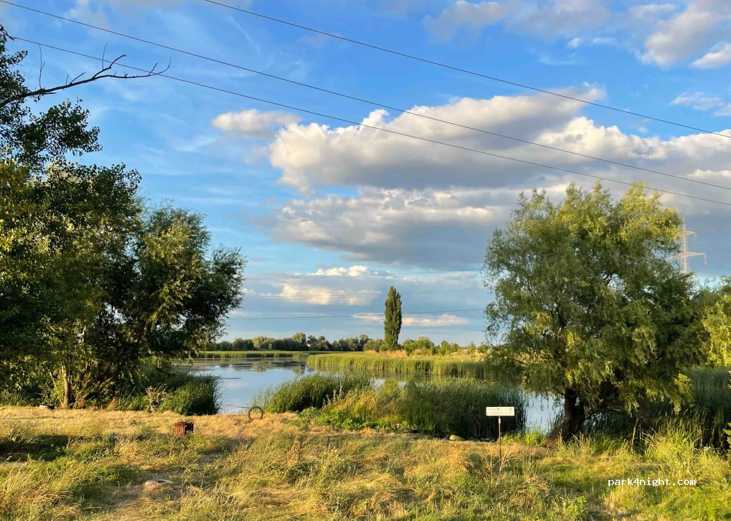 (307160) Dumbrăvița - 40 Bulevardul Ghioceilor — foto 2