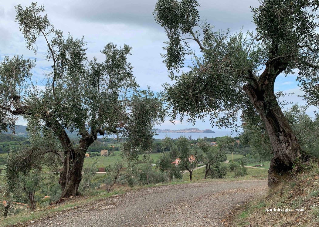 (57037) Santo Stefano - Unnamed Road — foto