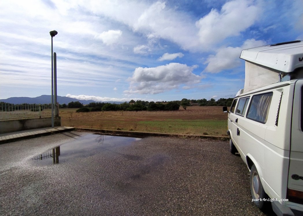 (09010) Siliqua - SP90 — foto