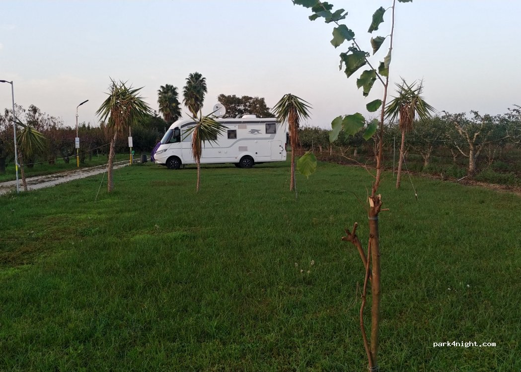 (72100) Brindisi - Strada Provinciale 81 — foto