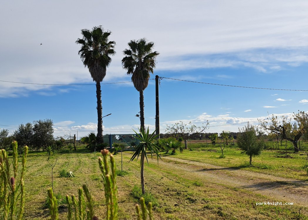 (72100) Brindisi - Strada Provinciale 81 — foto 4