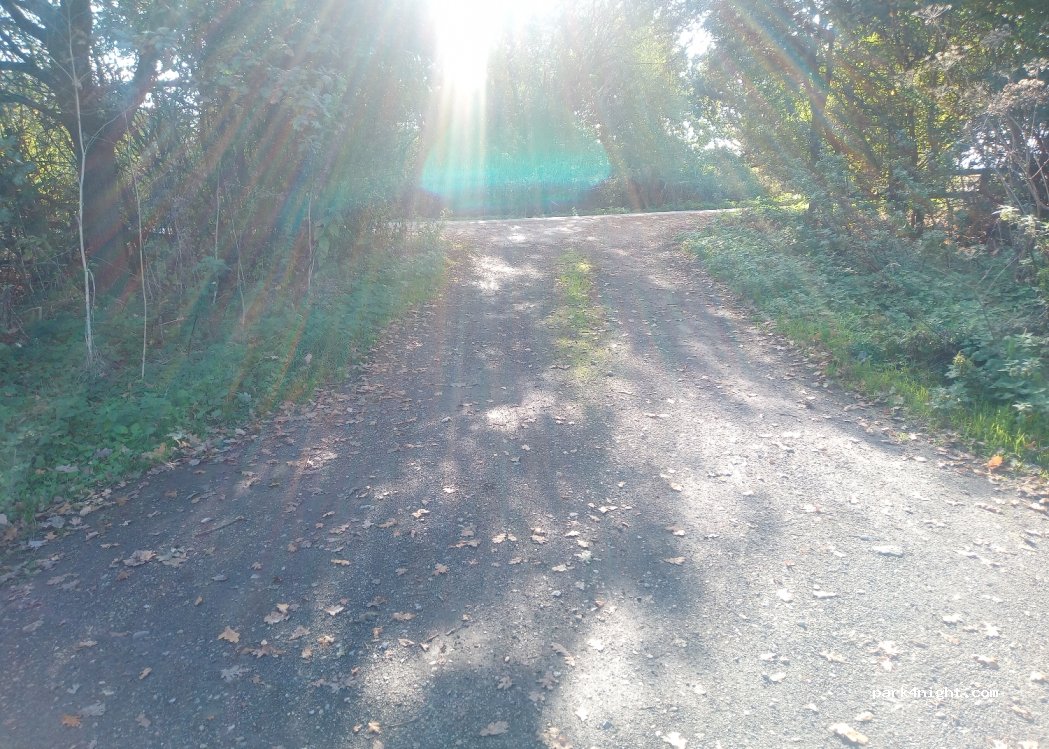 (DN14 9AN) Sykehouse - Kirk Lane — foto