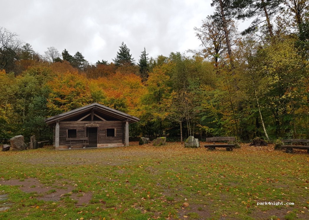 (97843) Forst Hain im Spessart - St2317 — foto 3