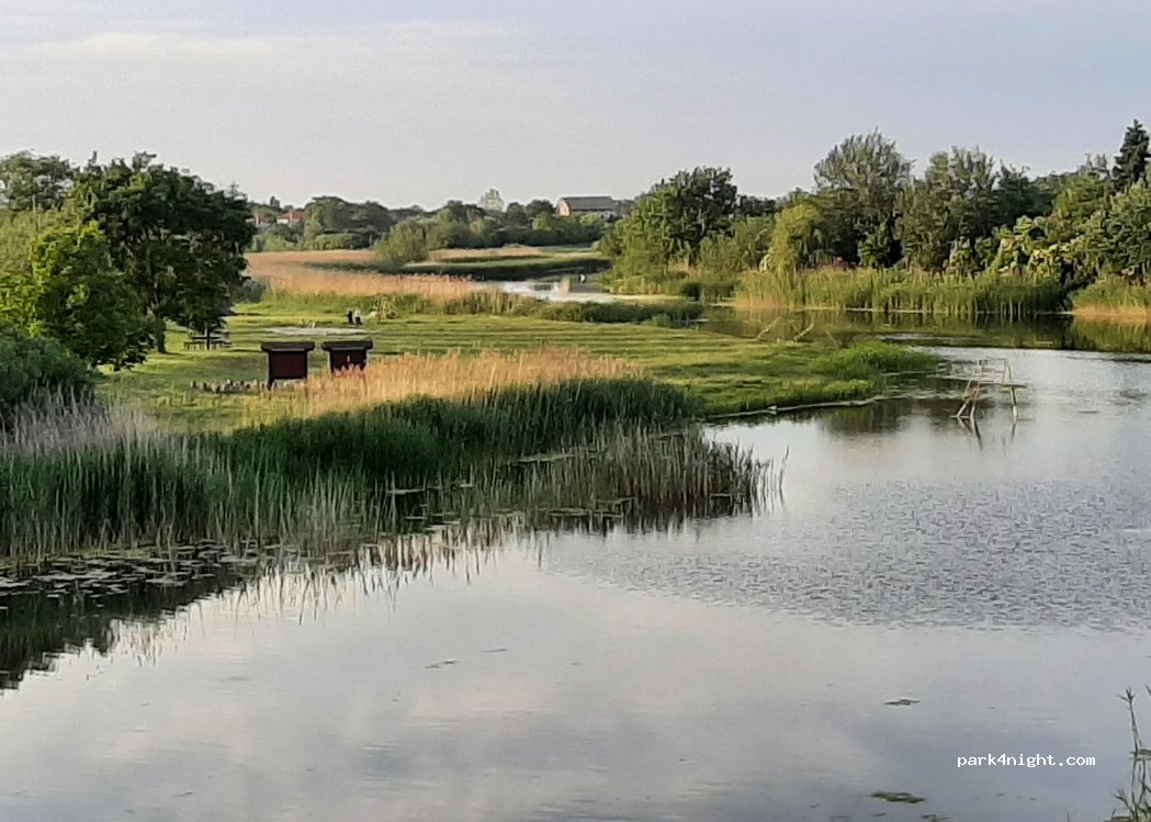 (307690) Banatski Brestovac - — foto