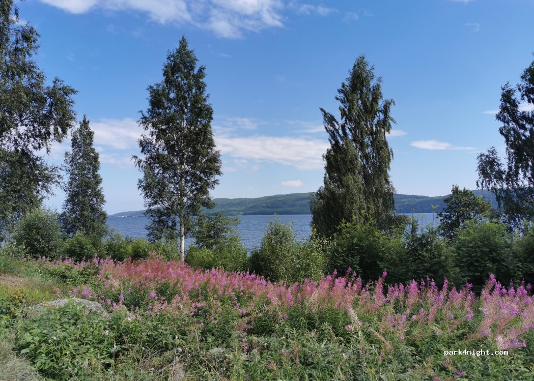 (870 32) Ullånger - E4 — foto 3
