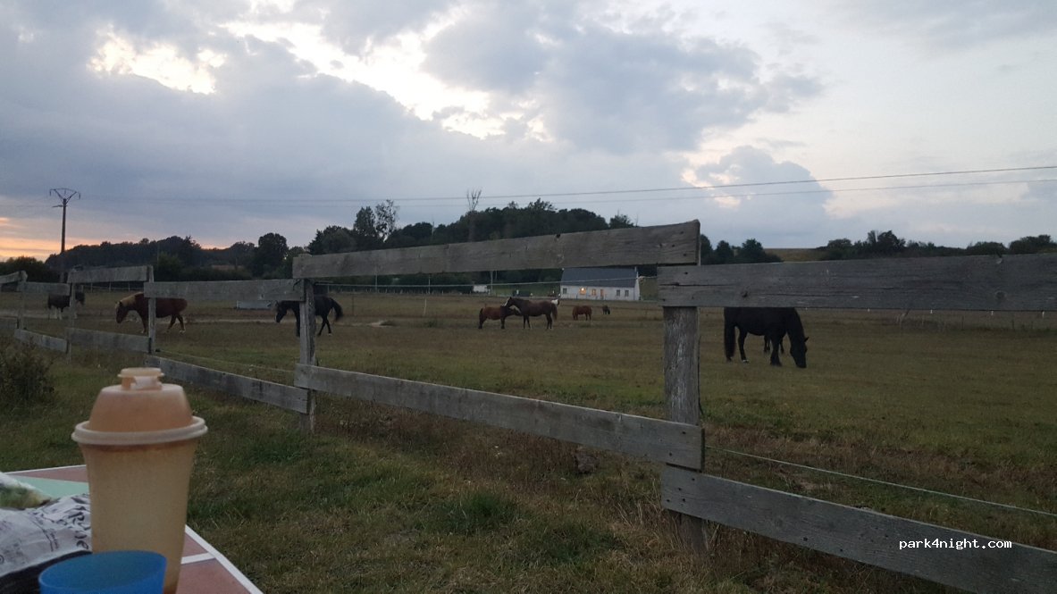 Camping De La Bourrelière — foto 3