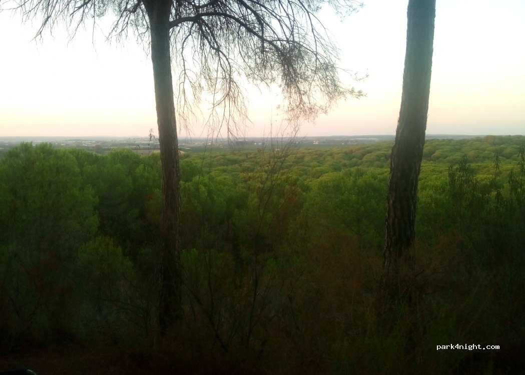 (21450) Cartaya - Unnamed road — foto