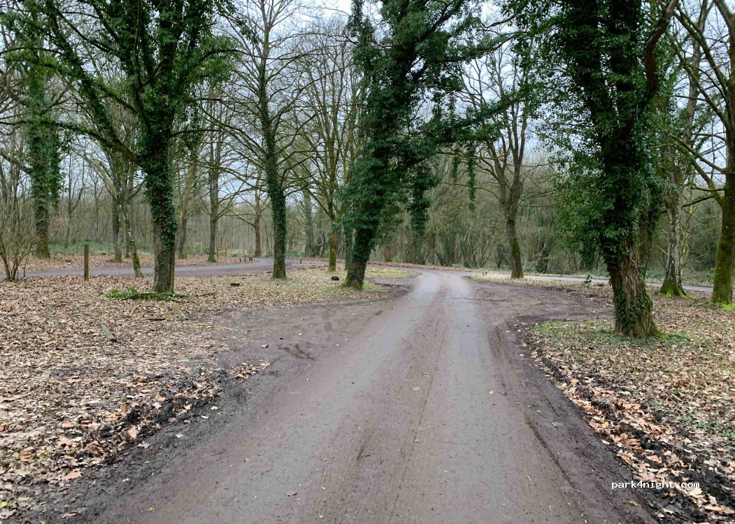 (62150) Fresnicourt-le-Dolmen - Le Bois d'Olhain — foto 2