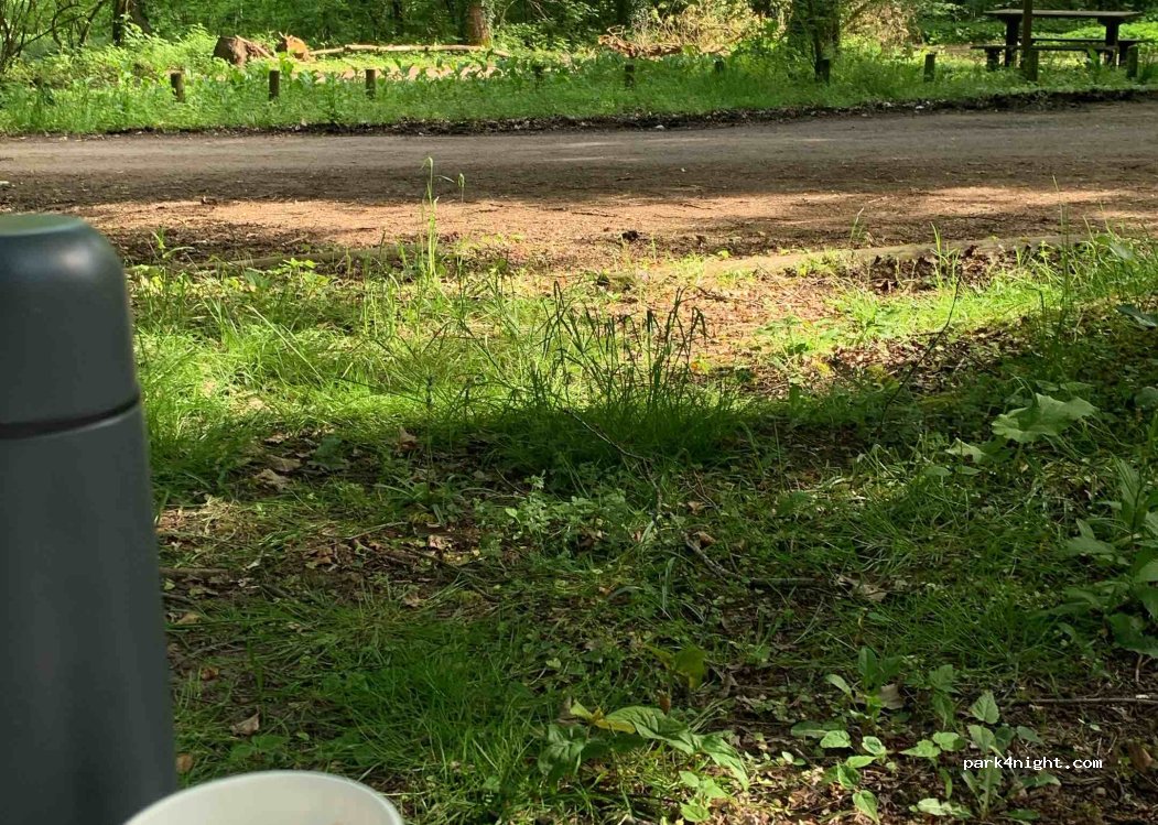 (62150) Fresnicourt-le-Dolmen - Le Bois d'Olhain — foto 3