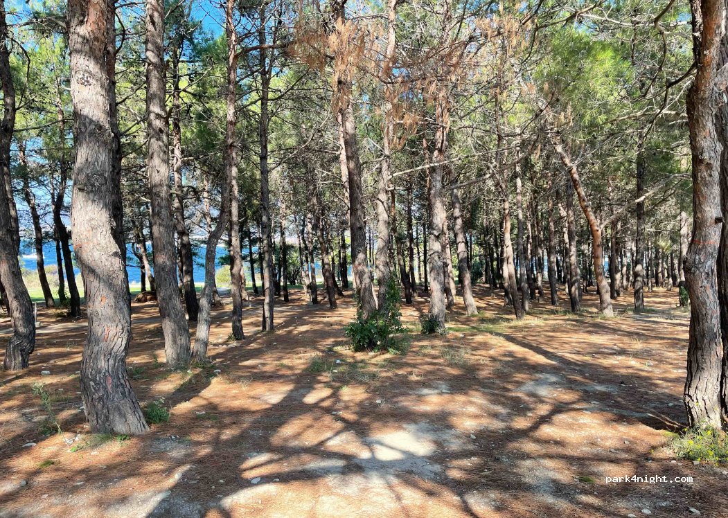(353461) Gelendzhik - 5 Pereulok Pribrezhnyy — foto