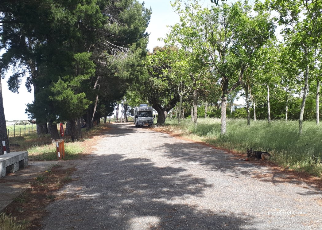 (37208) Aldeavieja - N-620, pk 288 — foto