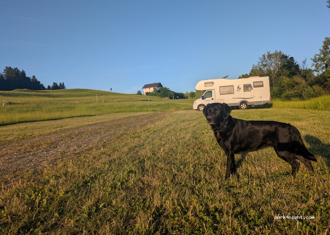 (88175) Scheidegg - 9 Gretenmühle — foto 5