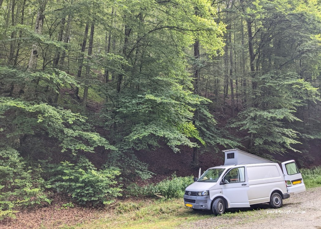 (47220) Radonja - — foto 3