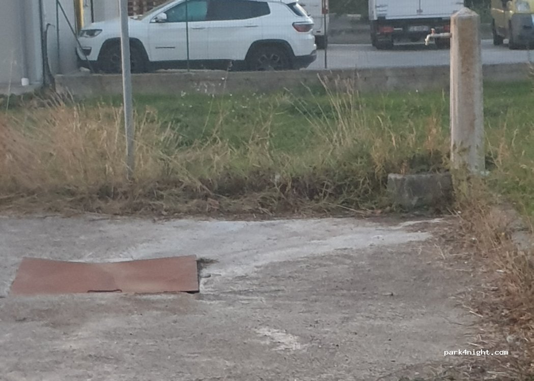 (05020) Alviano - Strada Provinciale 87 — foto