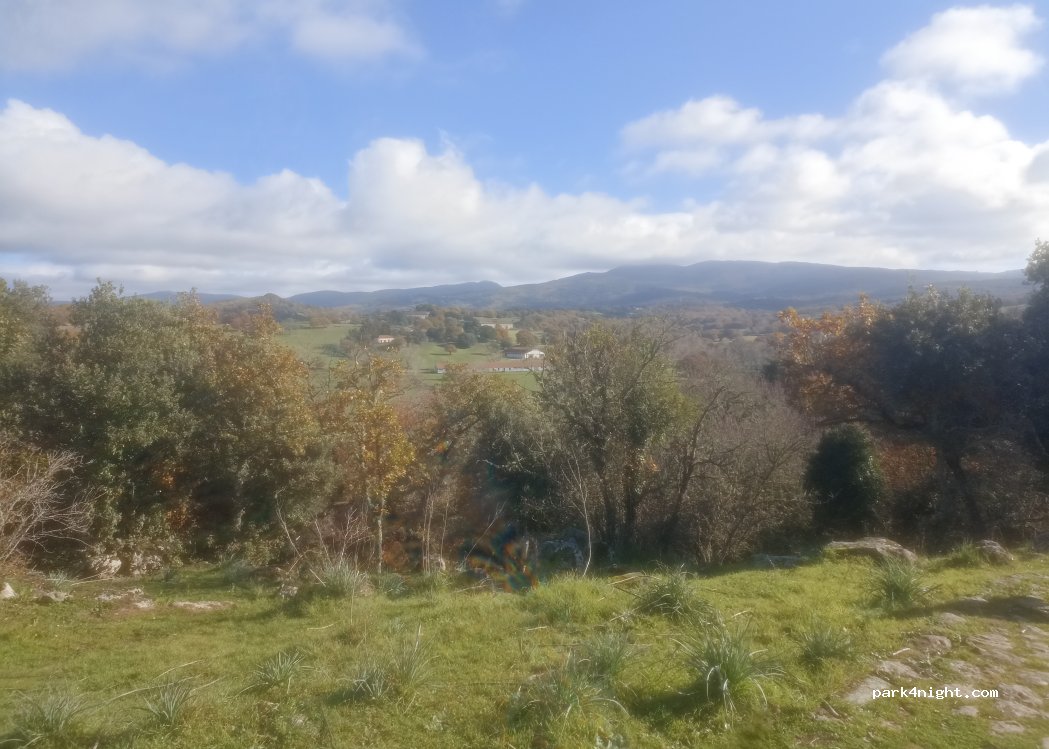 (07010) Foresta di Burgos - 21 SP43 — foto 4