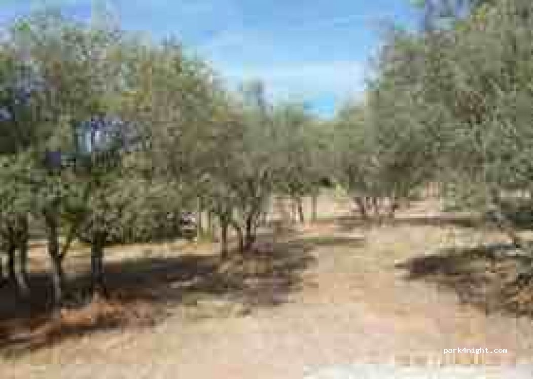 (13100) Le Tholonet - 221 Chemin de la Risante — foto 5