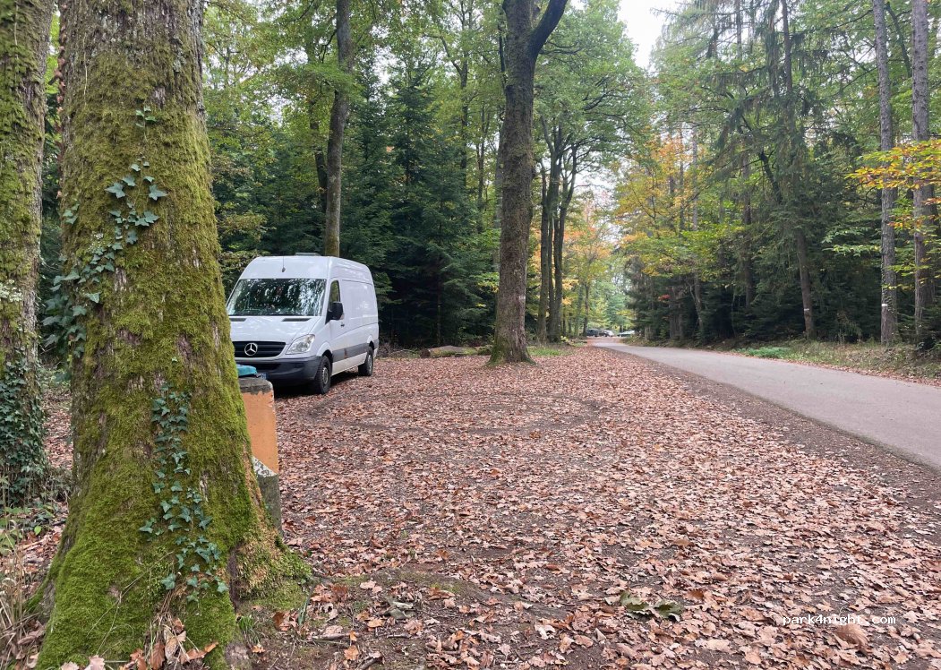 (68360) Soultz-Haut-Rhin - Unnamed Road — foto