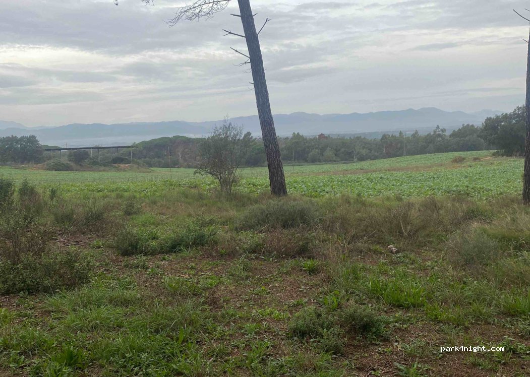 (17455) Veïnat de les Mateues - Unnamed Road — foto