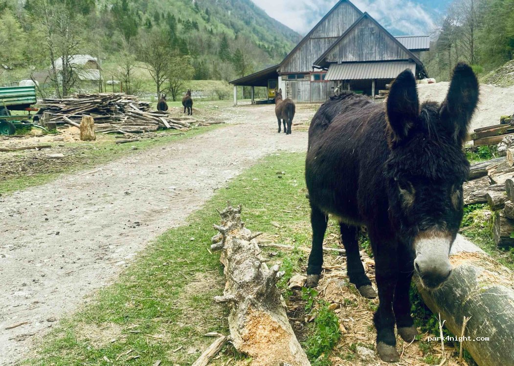 Gostišče in kamp Jelinc — foto 5